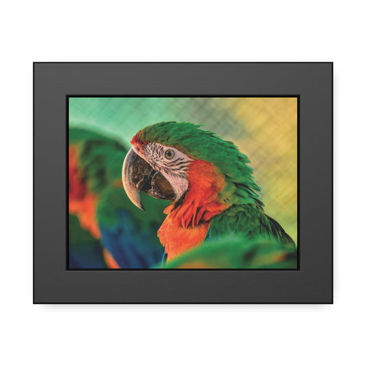 Vibrant Parrot Framed Wall Art, Tropical Home Decor, Eclectic Wall Decor, Animal Lover Gift, Colorful Bird Art Print