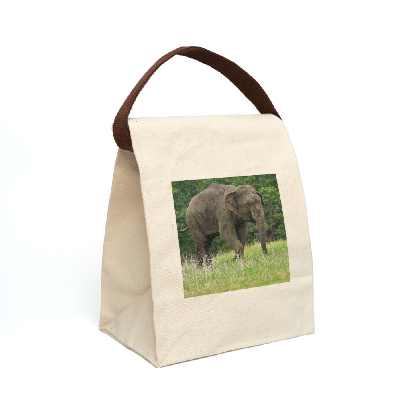 Reusable Canvas Lunch Bag with Elephant Print,  Eco Cotton Lunch Tote for Work, School & Picnics | Sustainable Gift Idea