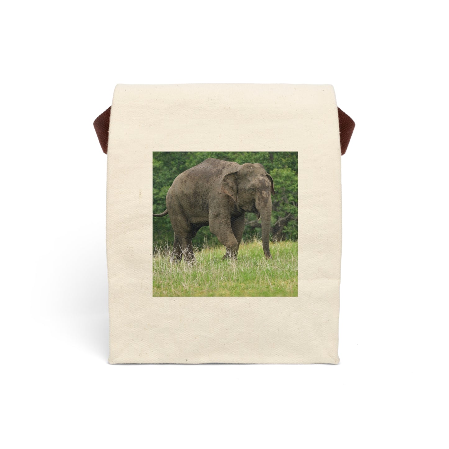 Reusable Canvas Lunch Bag with Elephant Print,  Eco Cotton Lunch Tote for Work, School & Picnics | Sustainable Gift Idea